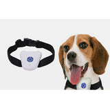 Ultrasonic Dog Collar and dog model